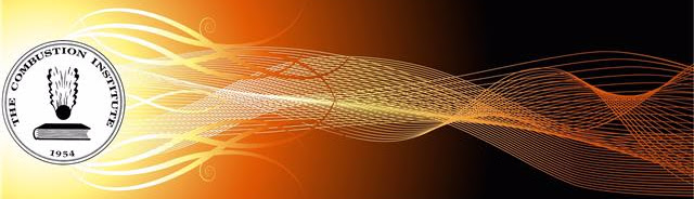 Call For Nominations: Fellows of The Combustion Institute